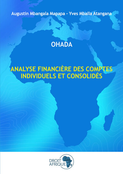 Analyse financière des comptes individuels et consolidés