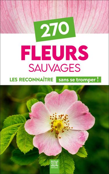 270 fleurs sauvages : les reconnaître sans se tromper !