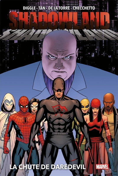 Shadowland. Vol. 1. La chute de Daredevil