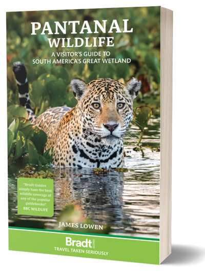 PANTANAL WILDLIFE A VISITOR'S GUIDE TO BRAZIL'S