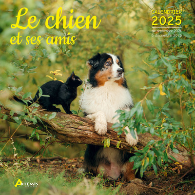 Le chien et ses amis : calendrier 2025 : de septembre 2024 à décembre 2025