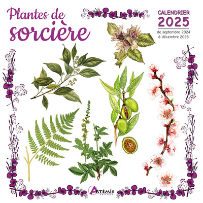 Plantes de sorcière : calendrier 2025 : de septembre 2024 à décembre 2025