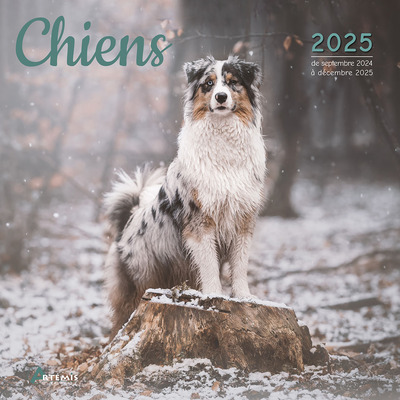 Chiens : calendrier 2025 : de septembre 2024 à décembre 2025