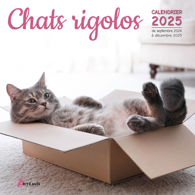 Chats rigolos : calendrier 2025 : de septembre 2024 à décembre 2025