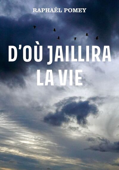 D’OÙ JAILLIRA LA VIE