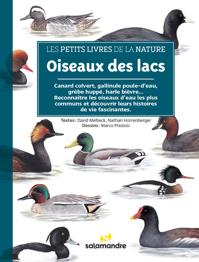 Oiseaux des lacs