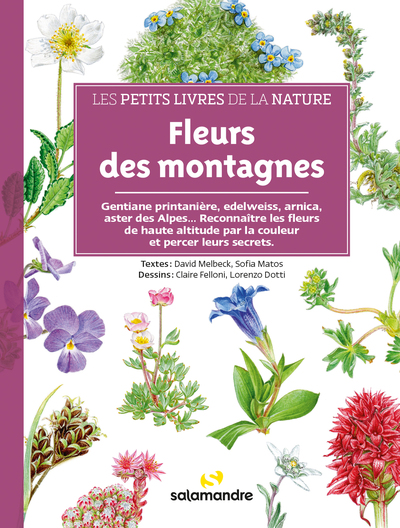 Fleurs des montagnes