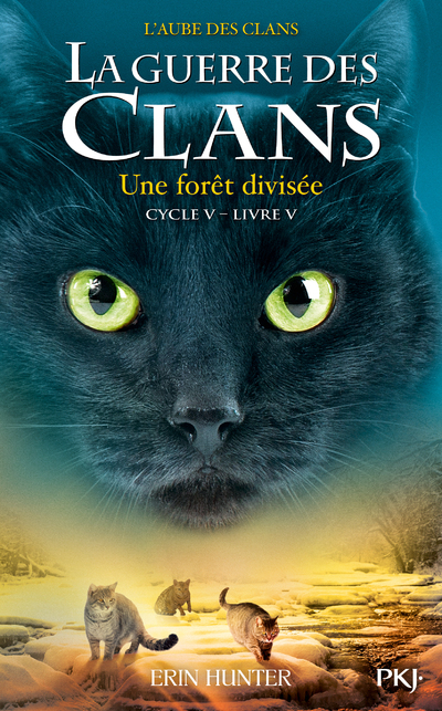 couverture du document