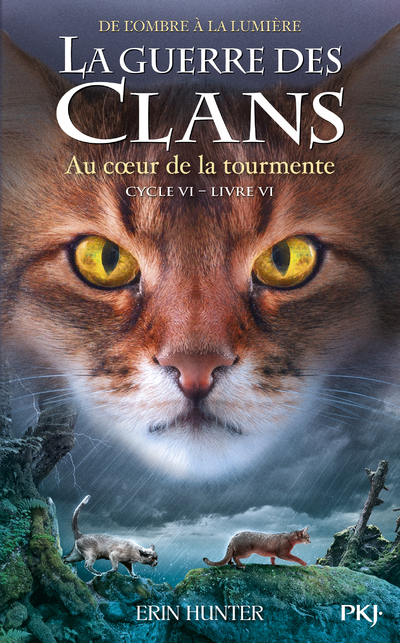 couverture du document
