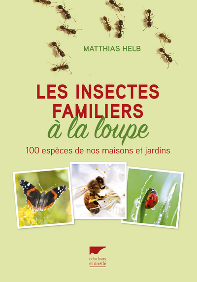 Les  insectes familiers à la loupe : 100 espèces de nos maisons et jardins