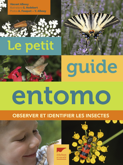 Le  petit guide entomo : observer et identifier les insectes