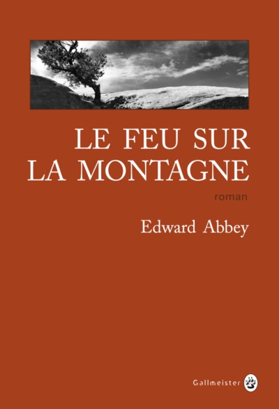 Le  feu sur la montagne : roman