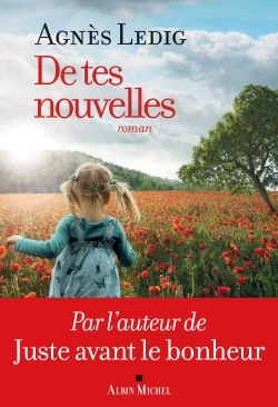 De tes nouvelles : roman