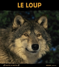 Le  loup