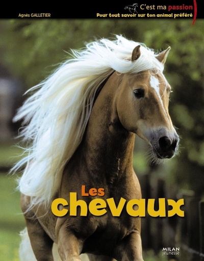Les  chevaux