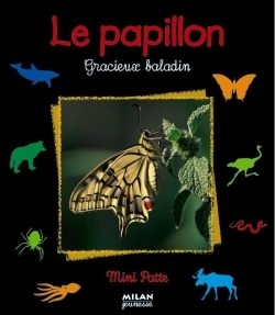 Le  papillon : gracieux baladin