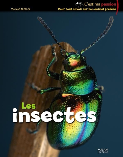 Les  insectes