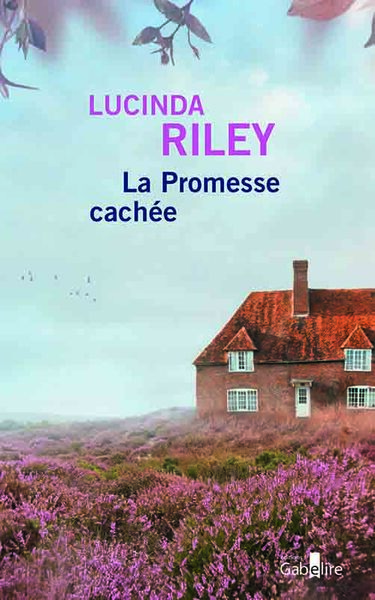 La  promesse cachée : roman