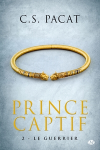 Prince captif. 02 : Le guerrier