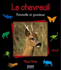 Le Chevreuil, farouche et gracieux