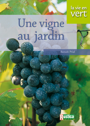 VIGNE AU JARDIN (UNE)