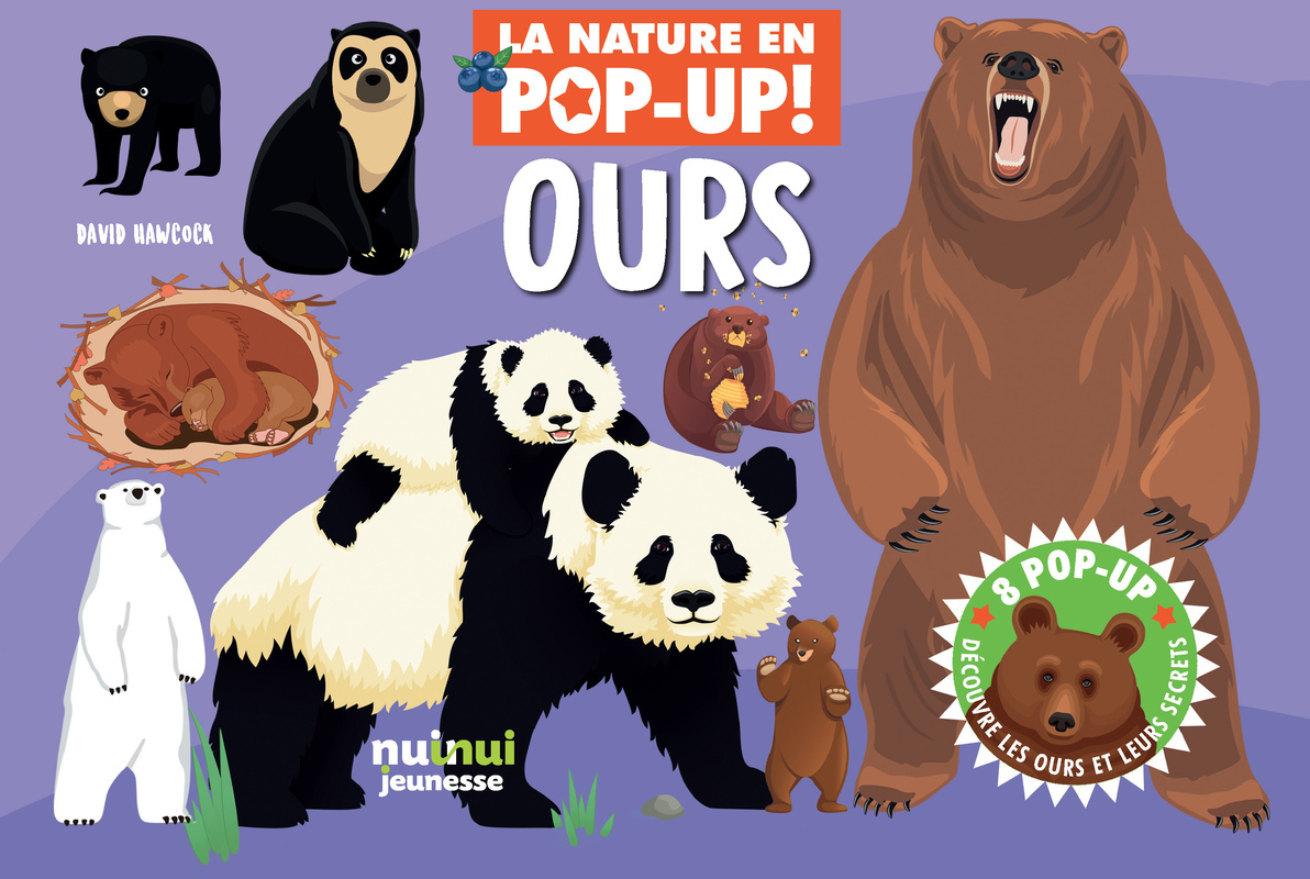 NATURE POP-UP - OURS