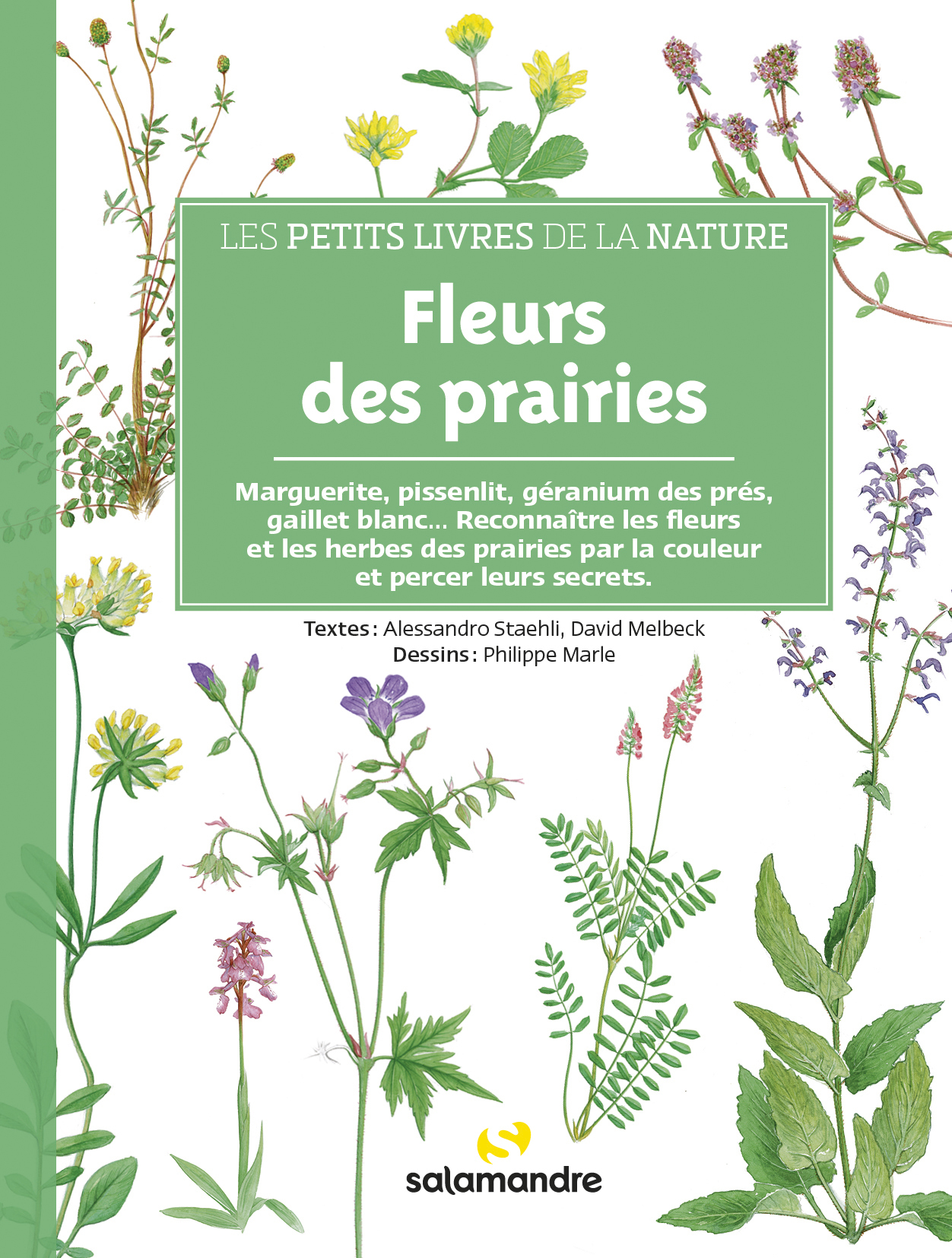 PETITS LIVRES DE LA NATURE - FLEURS DES PRAIRIES