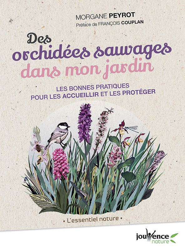 DES ORCHIDEES SAUVAGES DANS MON JARDIN - LES BONNES PRATIQUES POUR LES ACCUEILLIR ET LES PROTEGER