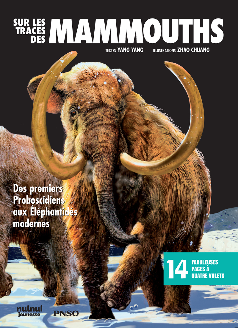 SUR LES TRACES DES MAMMOUTHS - DES PREMIERS PROBOSCIDIENS AUX ELEPHANTIDES MODERNES