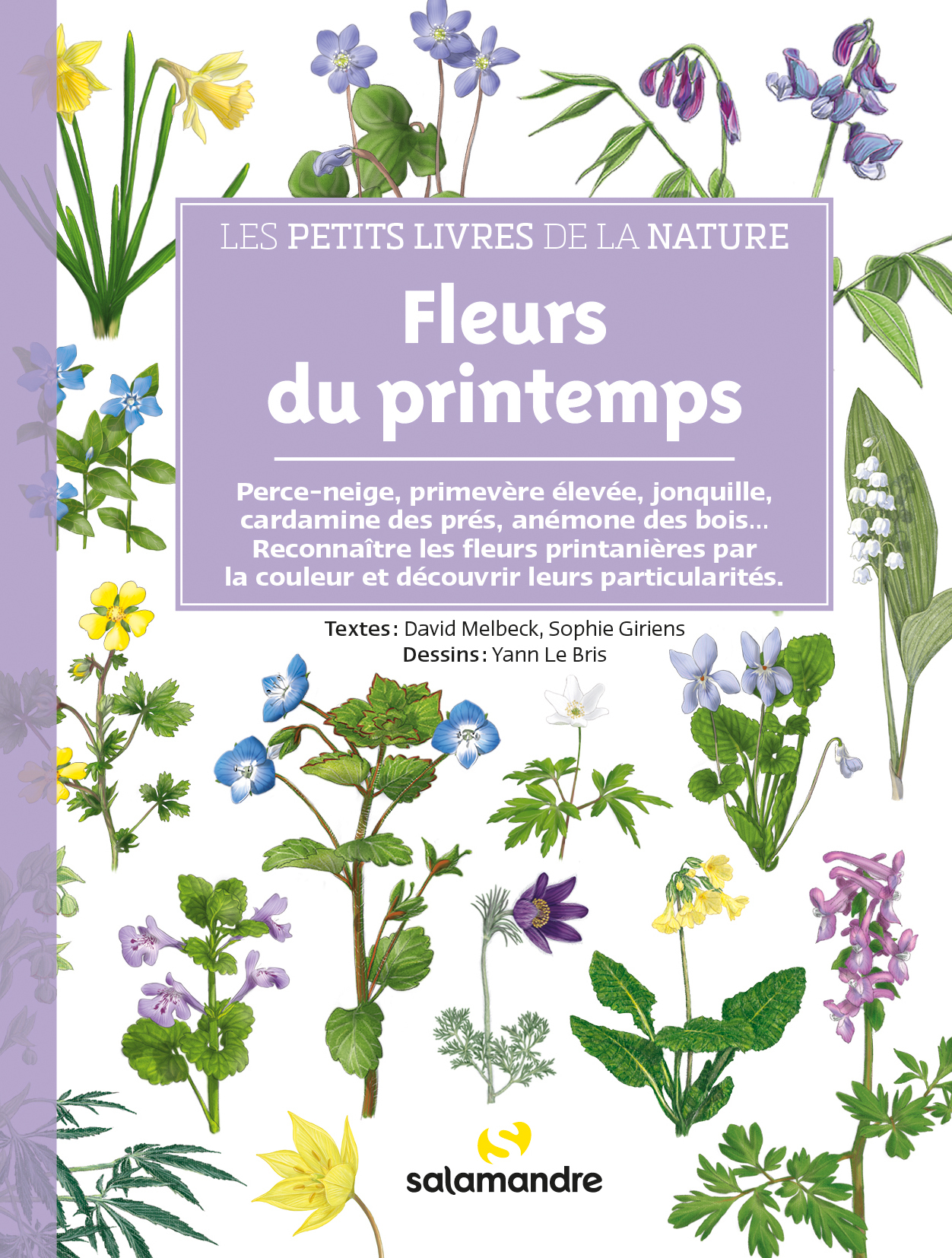 FLEURS DU PRINTEMPS
