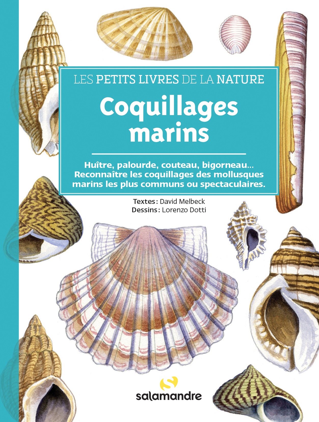 PETITS LIVRES DE LA NATURE - COQUILLAGES MARINS