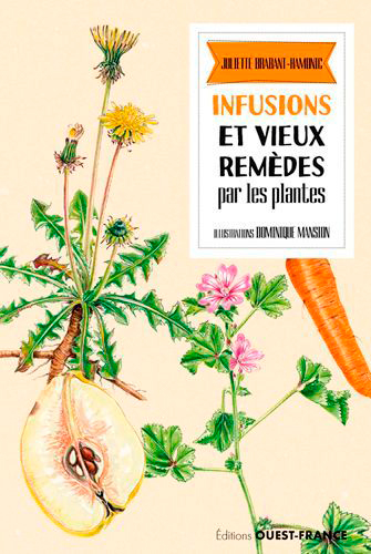 INFUSIONS ET VIEUX REMEDES PAR LES PLANTES