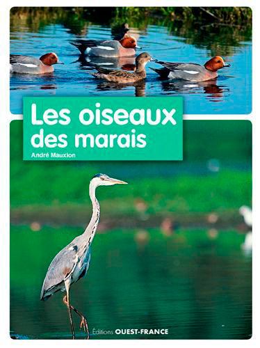 OISEAUX DES MARAIS