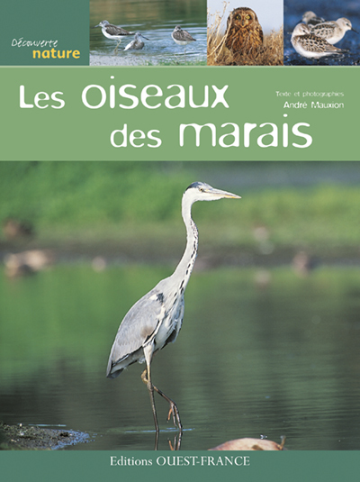 OISEAUX DES MARAIS