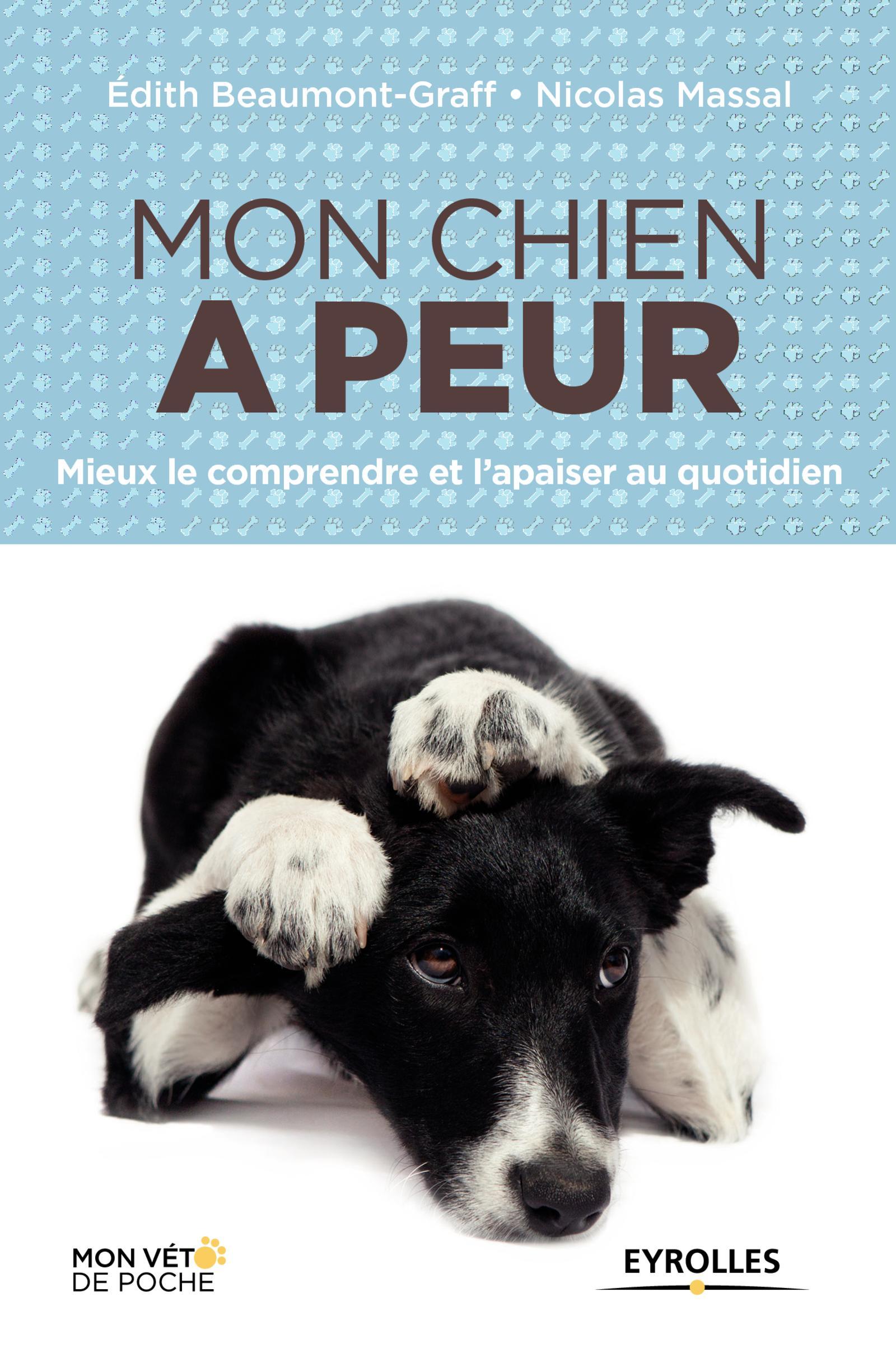 MON CHIEN A PEUR MIEUX LE COMPRENDRE ET L´APAISER AU QUOTIDIEN