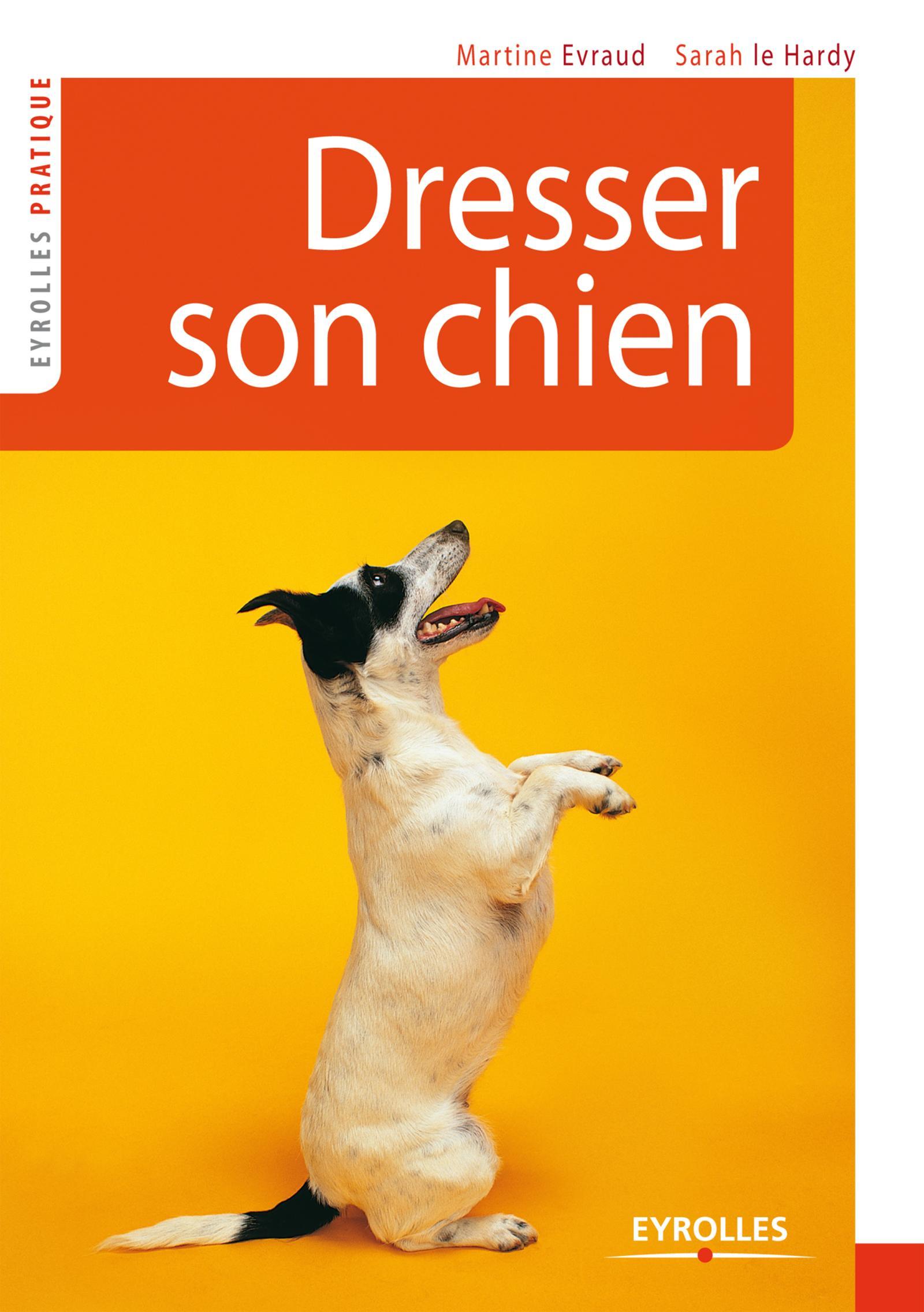 DRESSER SON CHIEN