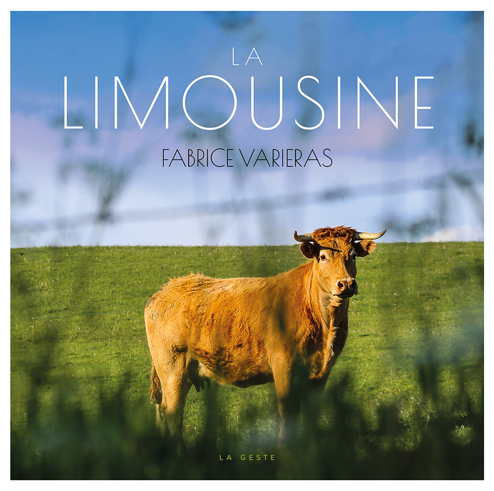LIMOUSINE