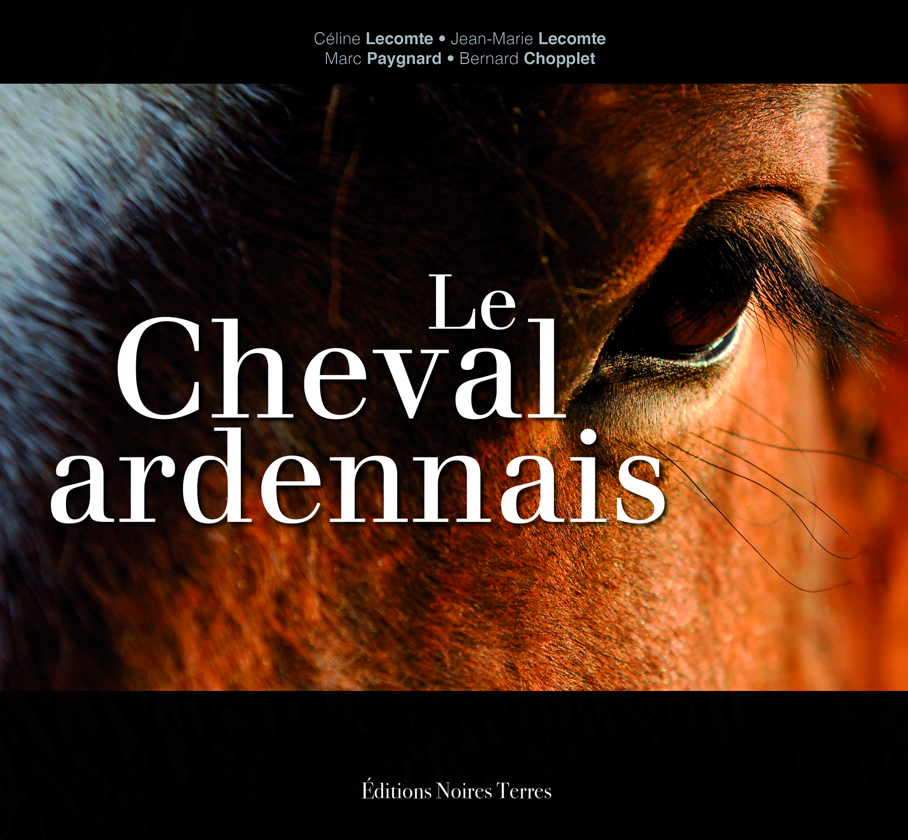CHEVAL ARDENNAIS