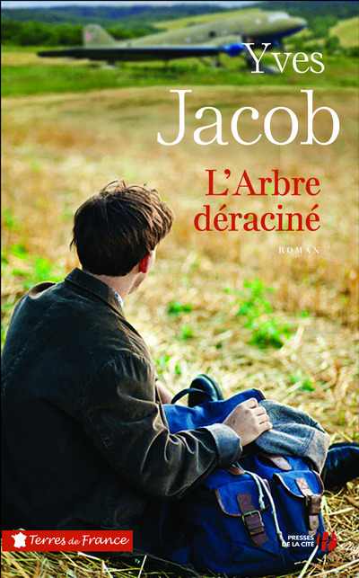 L´ARBRE DERACINE