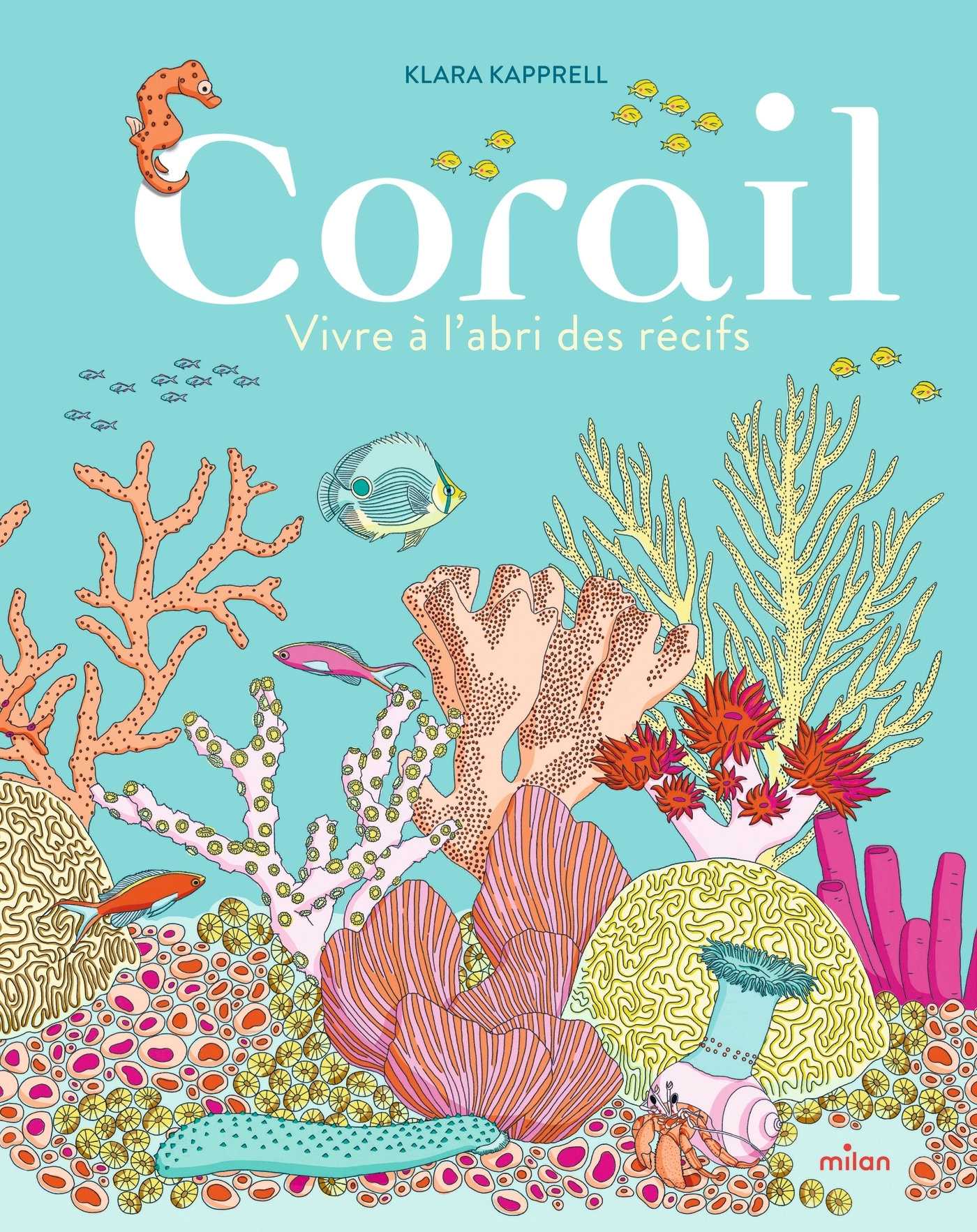 CORAIL, VIVRE A L´ABRI DES RECIFS