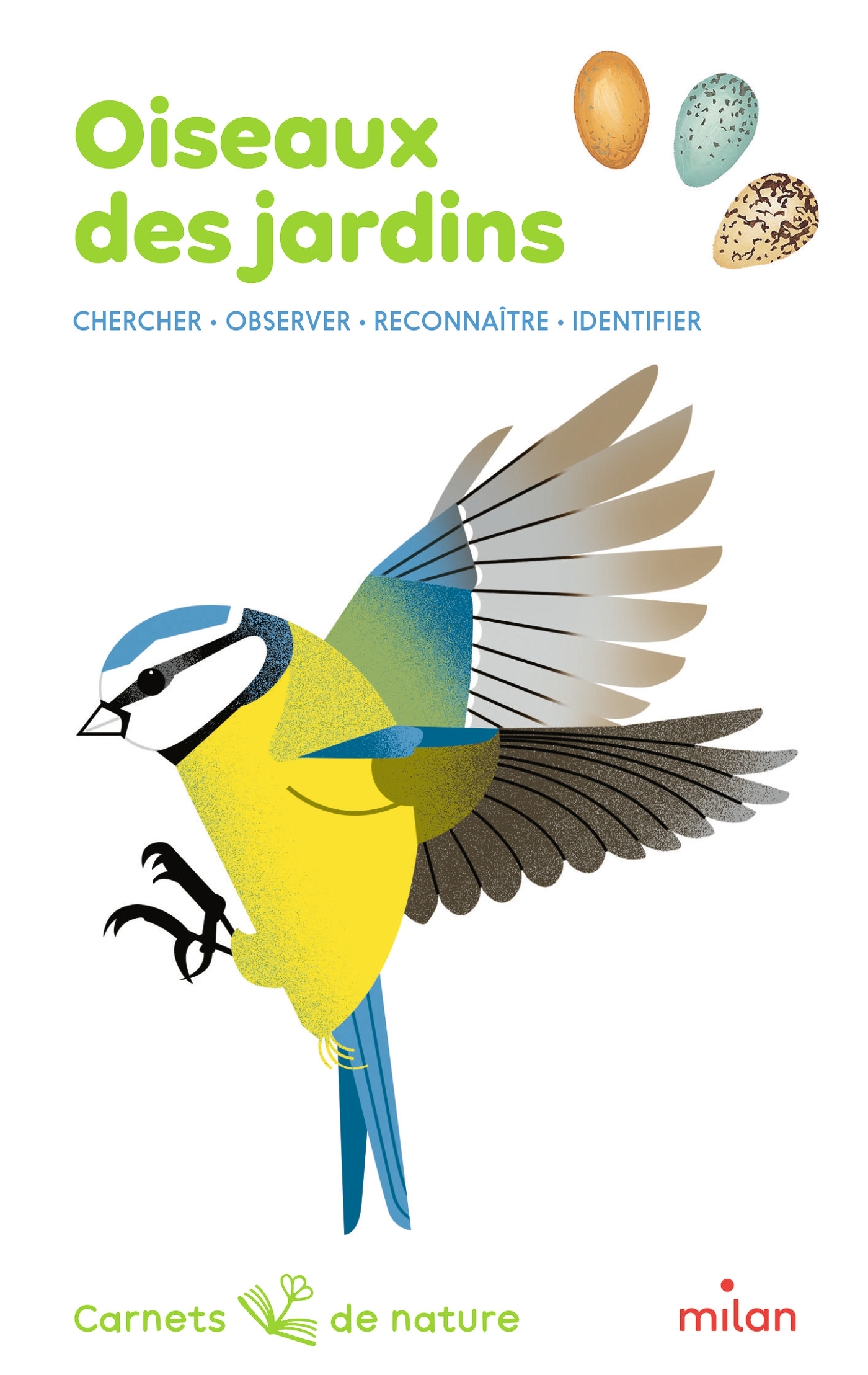 OISEAUX DES JARDINS