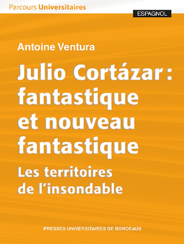 JULIO CORTAZAR : FANTASTIQUE ET NOUVEAU FANTASTIQUE - LES TERRITOIRES DE L´INSONDABLE FERNANDEZ ALEX