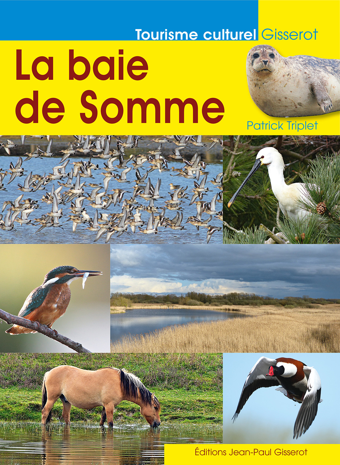 BAIE DE SOMME