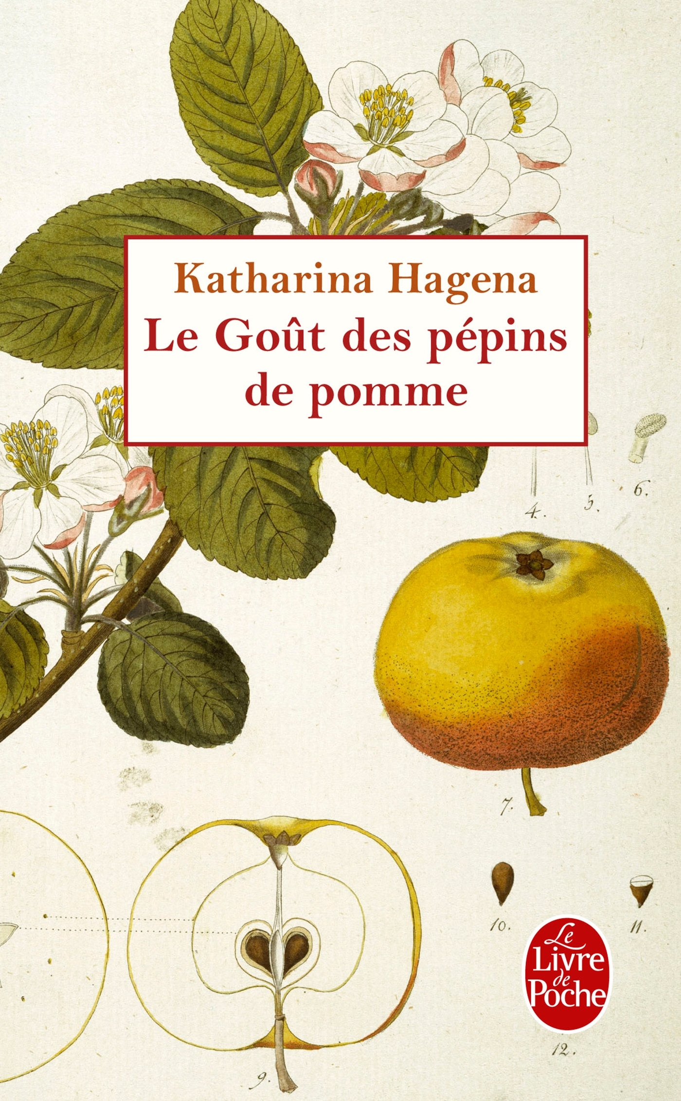 GOUT DES PEPINS DE POMMES