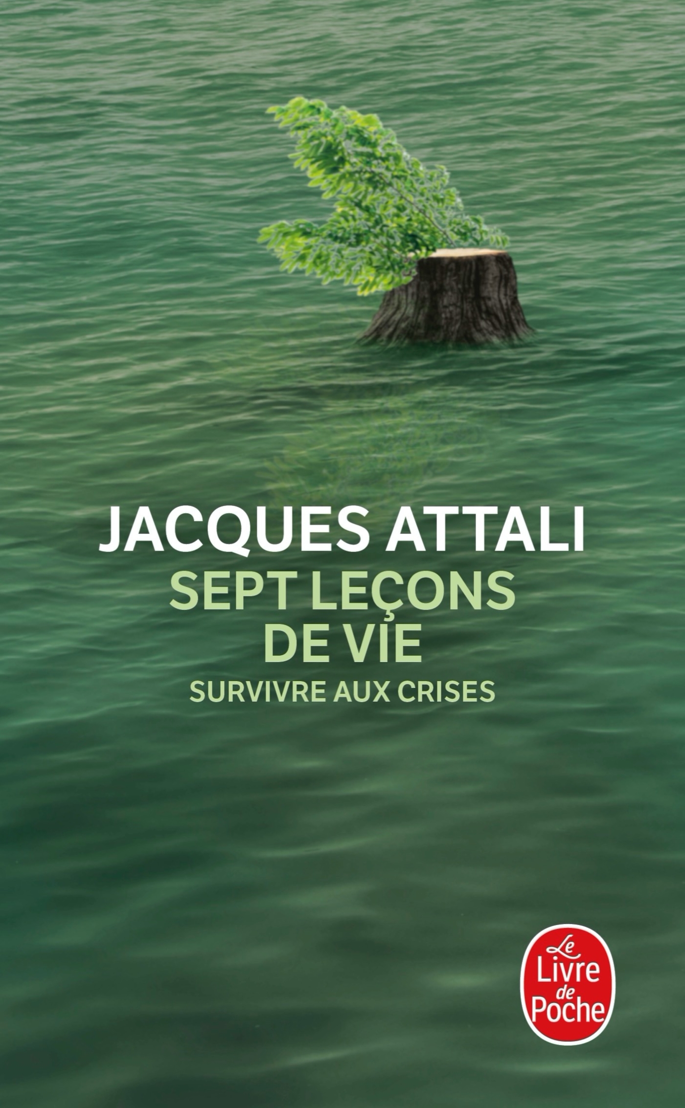 7 LECONS DE VIE - SURVIVRE AUX CRISES