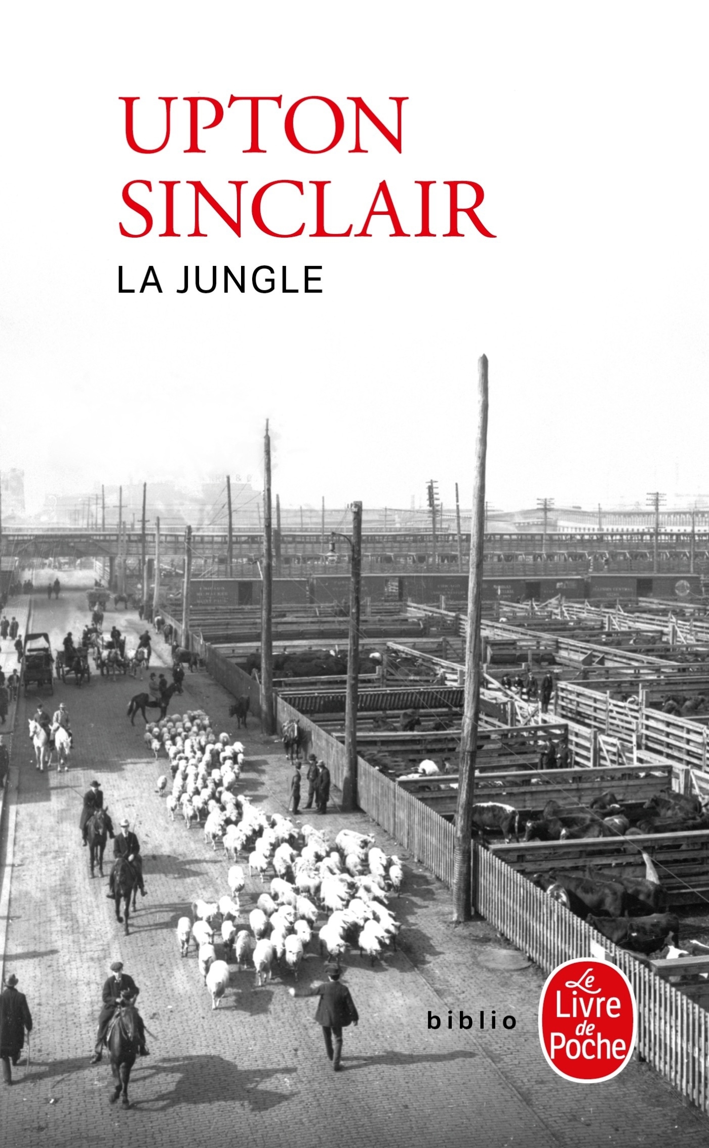 JUNGLE