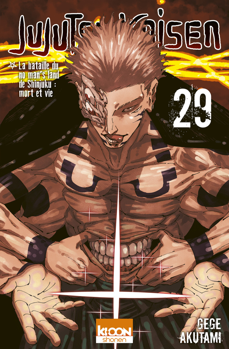 JUJUTSU KAISEN T29