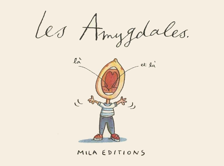 AMYGDALES (LES)