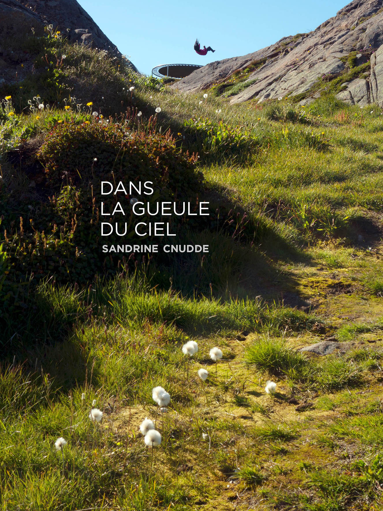 DANS LA GUEULE DU CIEL
