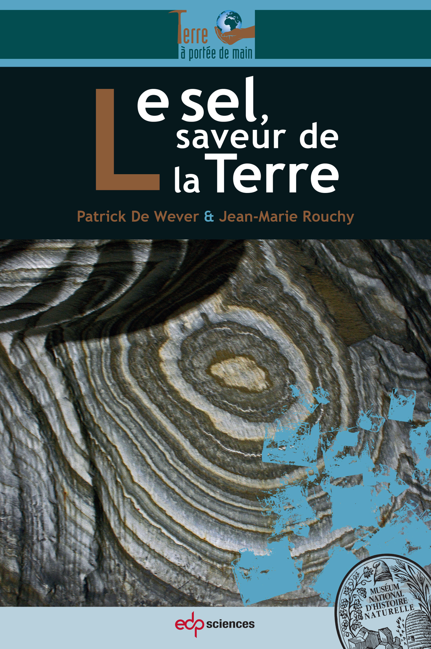 SEL SAVEUR DE LA TERRE (LE)